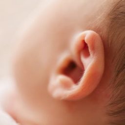 kids ear