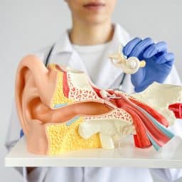 https://arizonahearing.com/hearing-loss/testing/